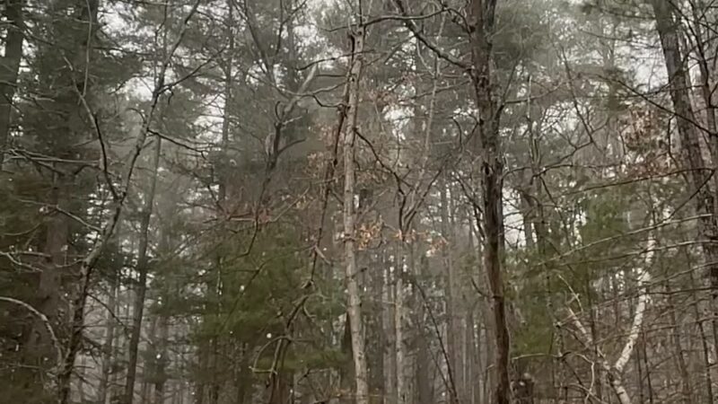Grassy Pond - Westford, MA
