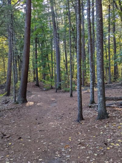 Grassy Pond - Westford, MA