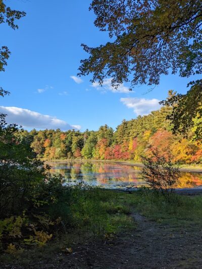 Grassy Pond - Westford, MA