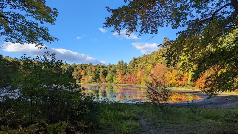 Grassy Pond - Westford, MA