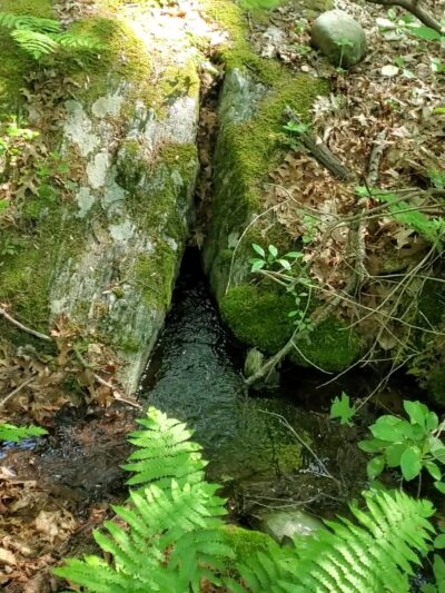 Mystery Spring - Westford, MA