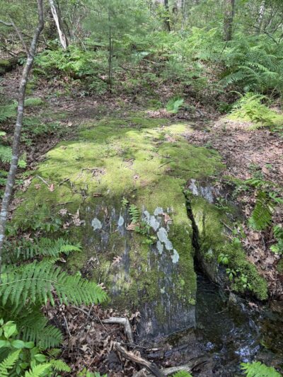 Mystery Spring - Westford, MA