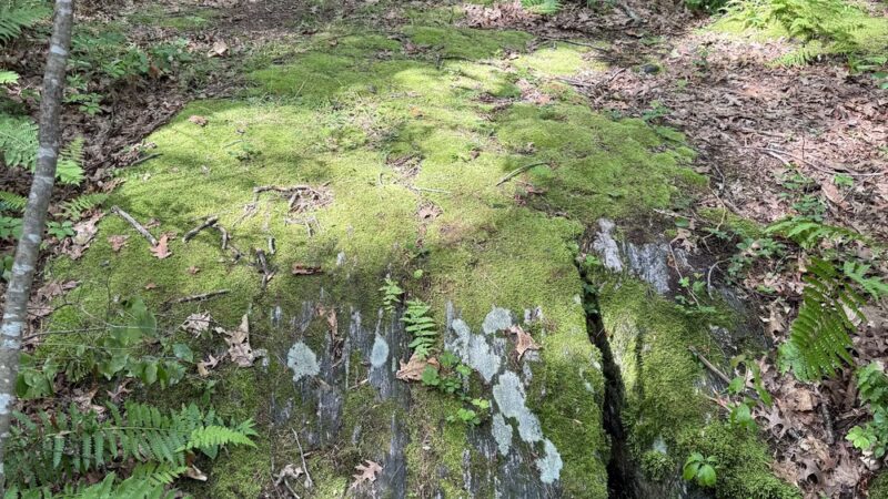 Mystery Spring - Westford, MA