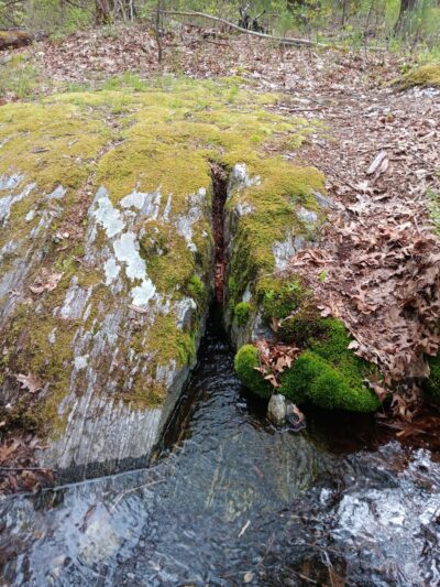 Mystery Spring - Westford, MA