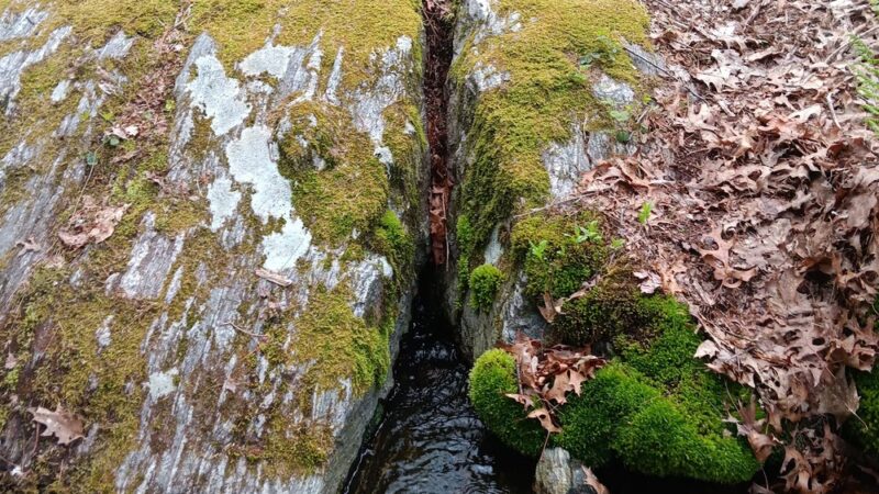 Mystery Spring - Westford, MA