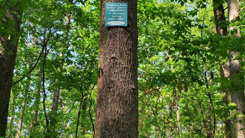 Mystery Spring - Westford, MA