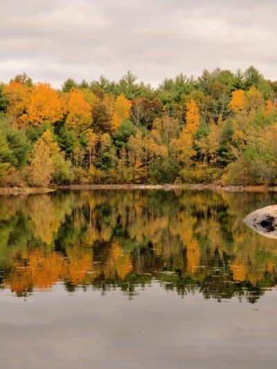 Nashoba Brook Watershed Trails - Westford, MA