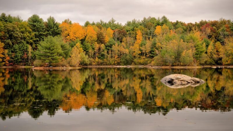 Nashoba Brook Watershed Trails - Westford, MA