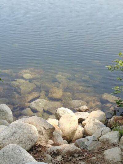 Nashoba Brook Watershed Trails - Westford, MA