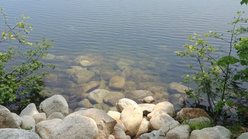 Nashoba Brook Watershed Trails - Westford, MA
