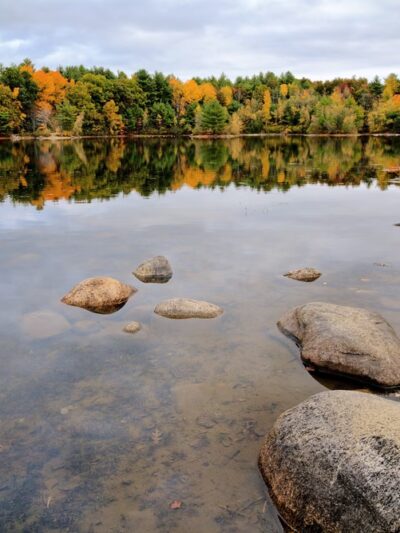 Nashoba Brook Watershed Trails - Westford, MA