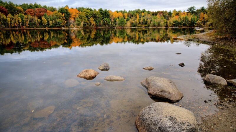 Nashoba Brook Watershed Trails - Westford, MA