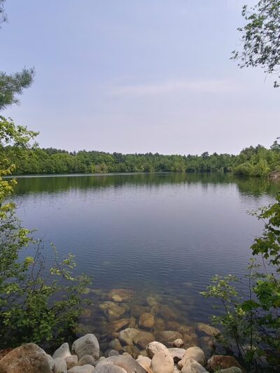 Nashoba Brook Watershed Trails - Westford, MA