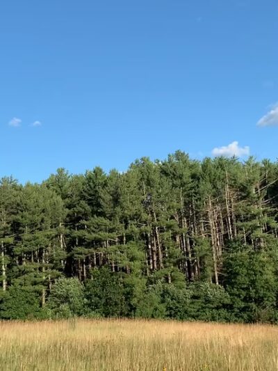 Tom Paul Trail - Westford, MA
