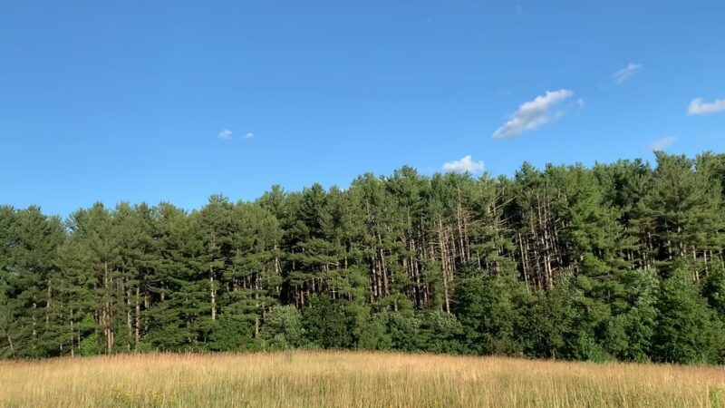 Tom Paul Trail - Westford, MA