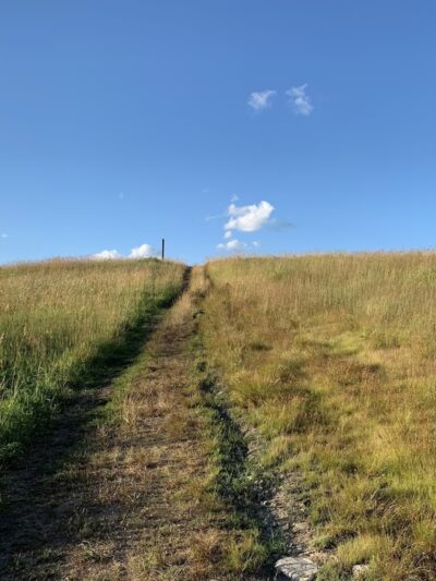 Tom Paul Trail - Westford, MA
