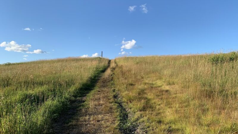Tom Paul Trail - Westford, MA