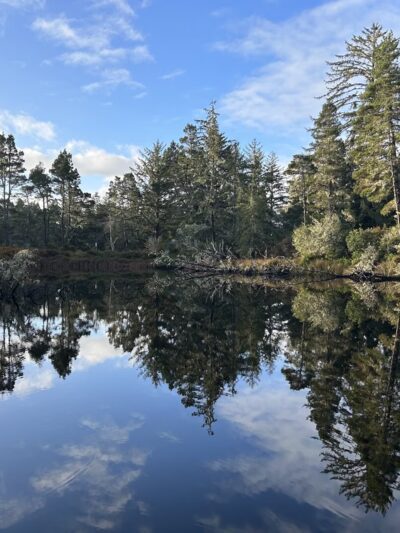 Lagoon Trailhead/Campground - Westlake, OR