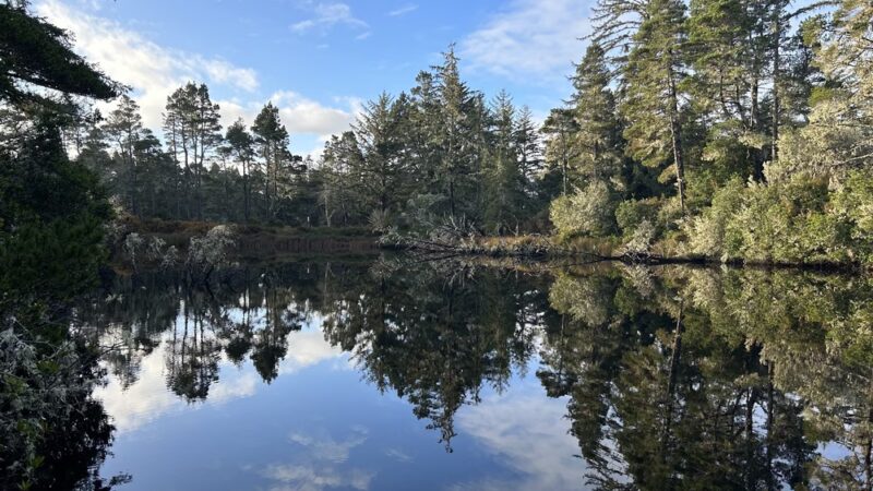 Lagoon Trailhead/Campground - Westlake, OR