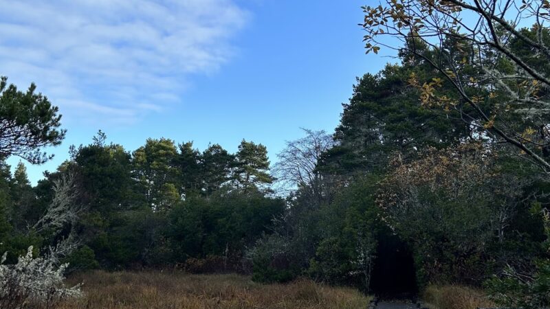 Lagoon Trailhead/Campground - Westlake, OR