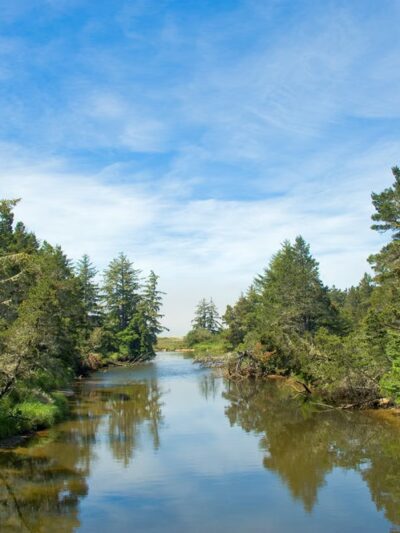 Lagoon Trailhead/Campground - Westlake, OR