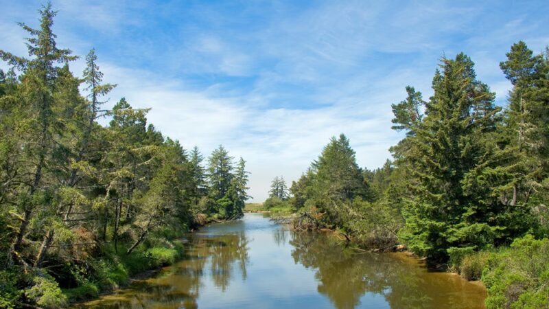 Lagoon Trailhead/Campground - Westlake, OR