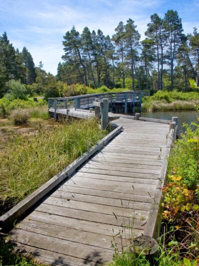 Lagoon Trailhead/Campground - Westlake, OR