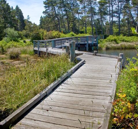 Lagoon Trailhead/Campground - Westlake, OR