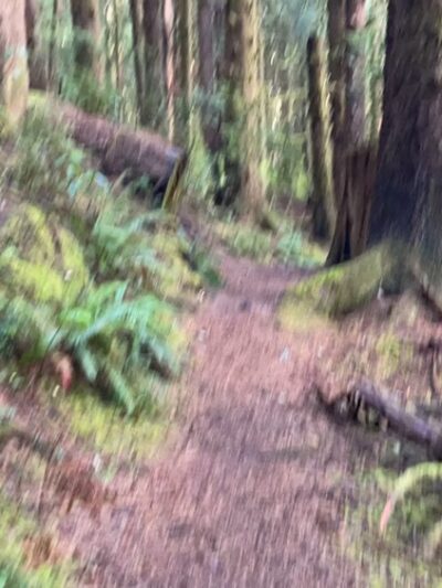 Siltcoos Lake Trailhead #1333 - Westlake, OR