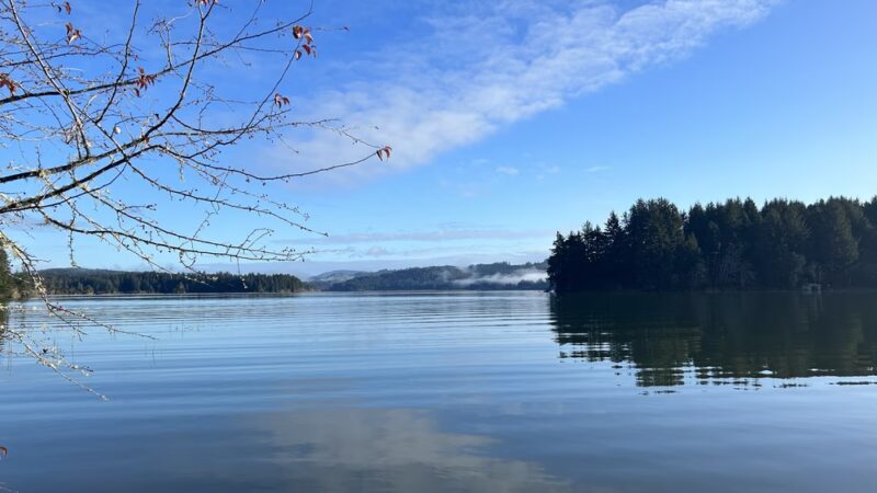 Siltcoos Lake Trailhead #1333 - Westlake, OR