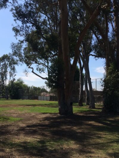 Buckingham Park - Westminster, CA