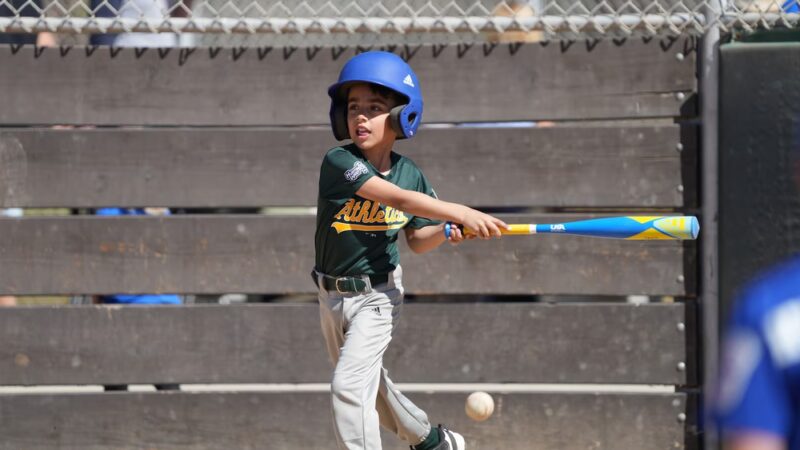 Buckingham Park - Westminster, CA