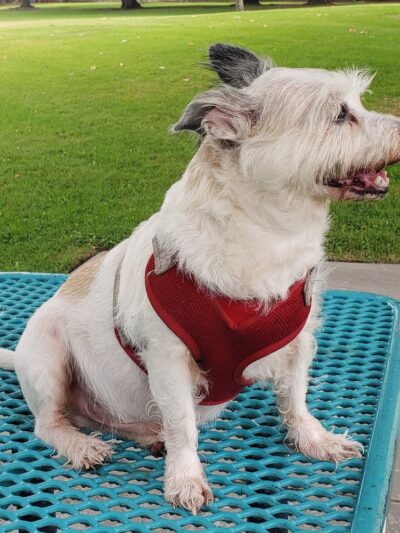 Cascade Park - Westminster, CA