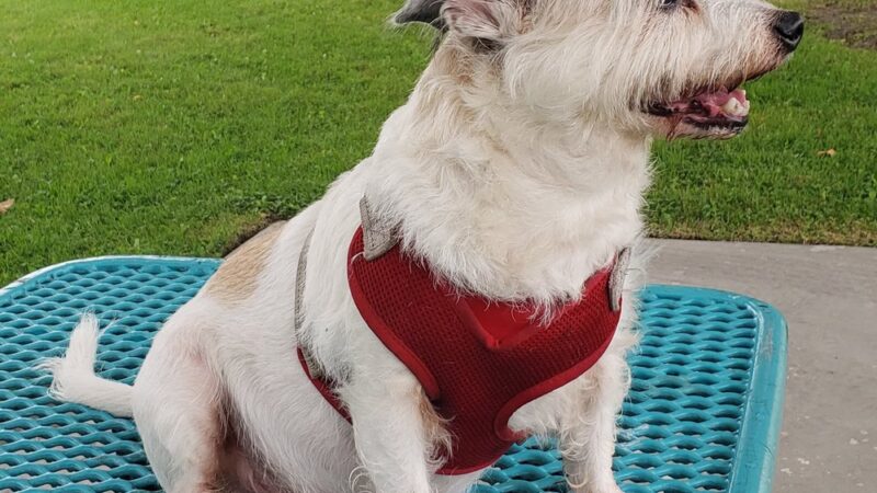 Cascade Park - Westminster, CA