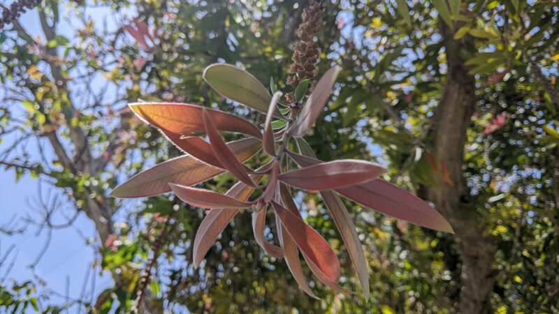 Picnic area in bolsa chica park - Westminster, CA