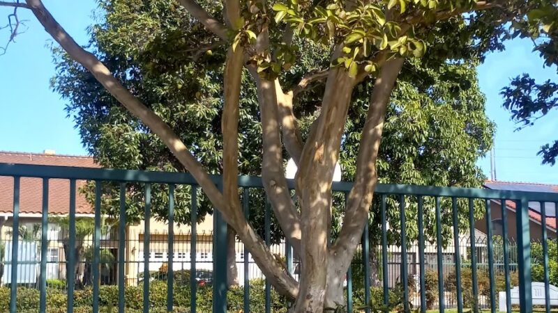 Virgina K.Boos Park - Westminster, CA