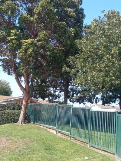 Virgina K.Boos Park - Westminster, CA