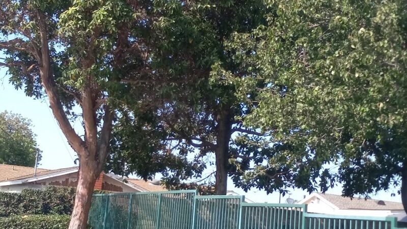 Virgina K.Boos Park - Westminster, CA