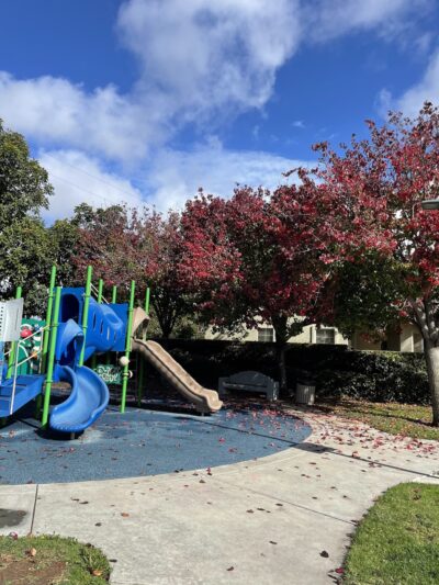 Virgina K.Boos Park - Westminster, CA