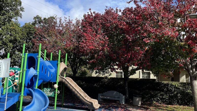 Virgina K.Boos Park - Westminster, CA