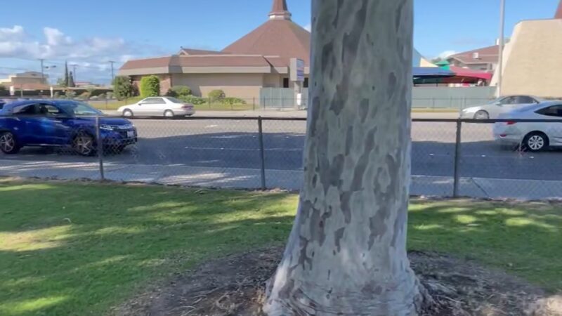 Westminster Park - Westminster, CA