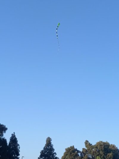 Westminster Park - Westminster, CA