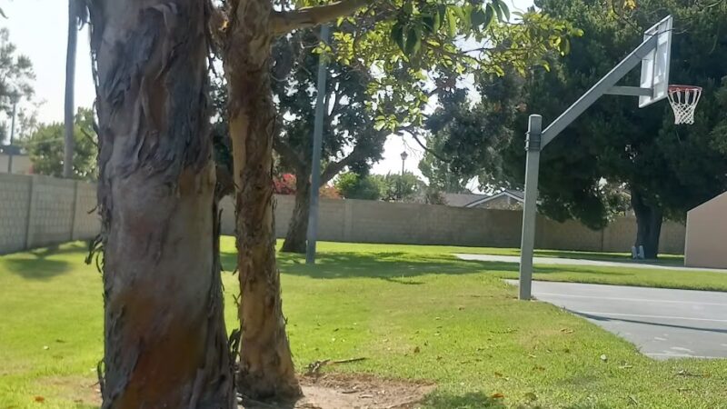 Westminster Village Park - Westminster, CA