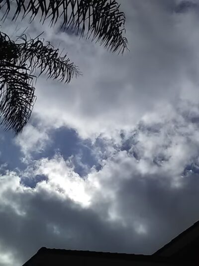 Westminster Village Park - Westminster, CA