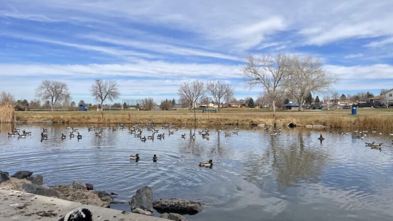Carroll Butts Park - Westminster, CO
