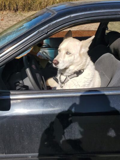 Cobblestone Park - Westminster, CO