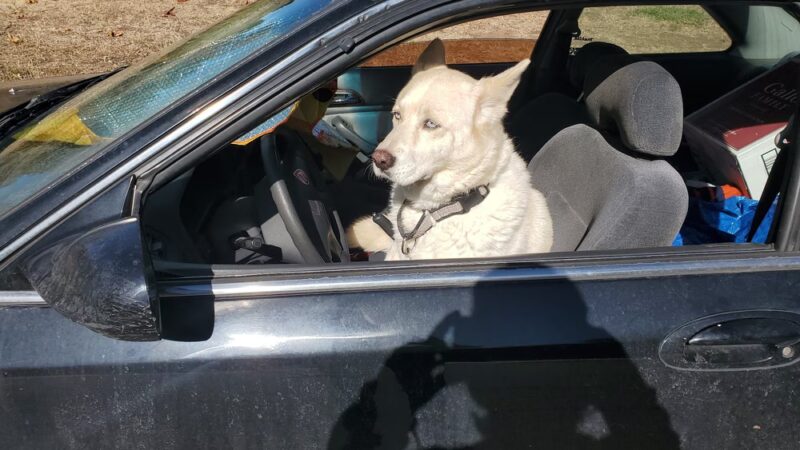 Cobblestone Park - Westminster, CO