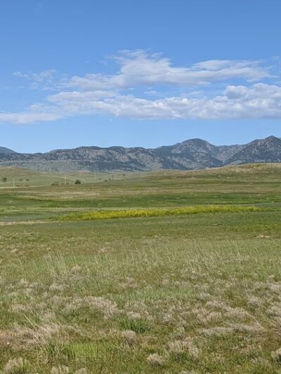 Dog Park Parking - Westminster, CO
