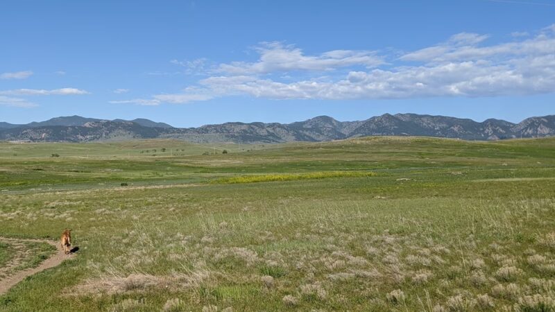Dog Park Parking - Westminster, CO