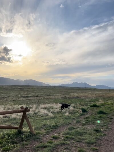 Dog Park Parking - Westminster, CO
